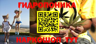 прущие грибы Комсомольск-на-Амуре